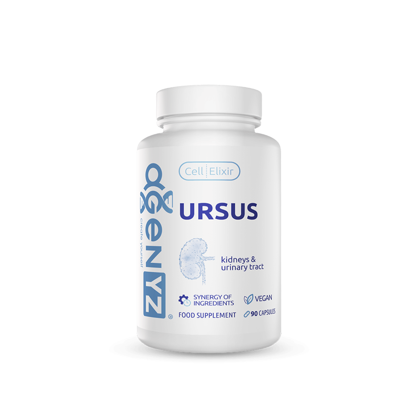 Ursus