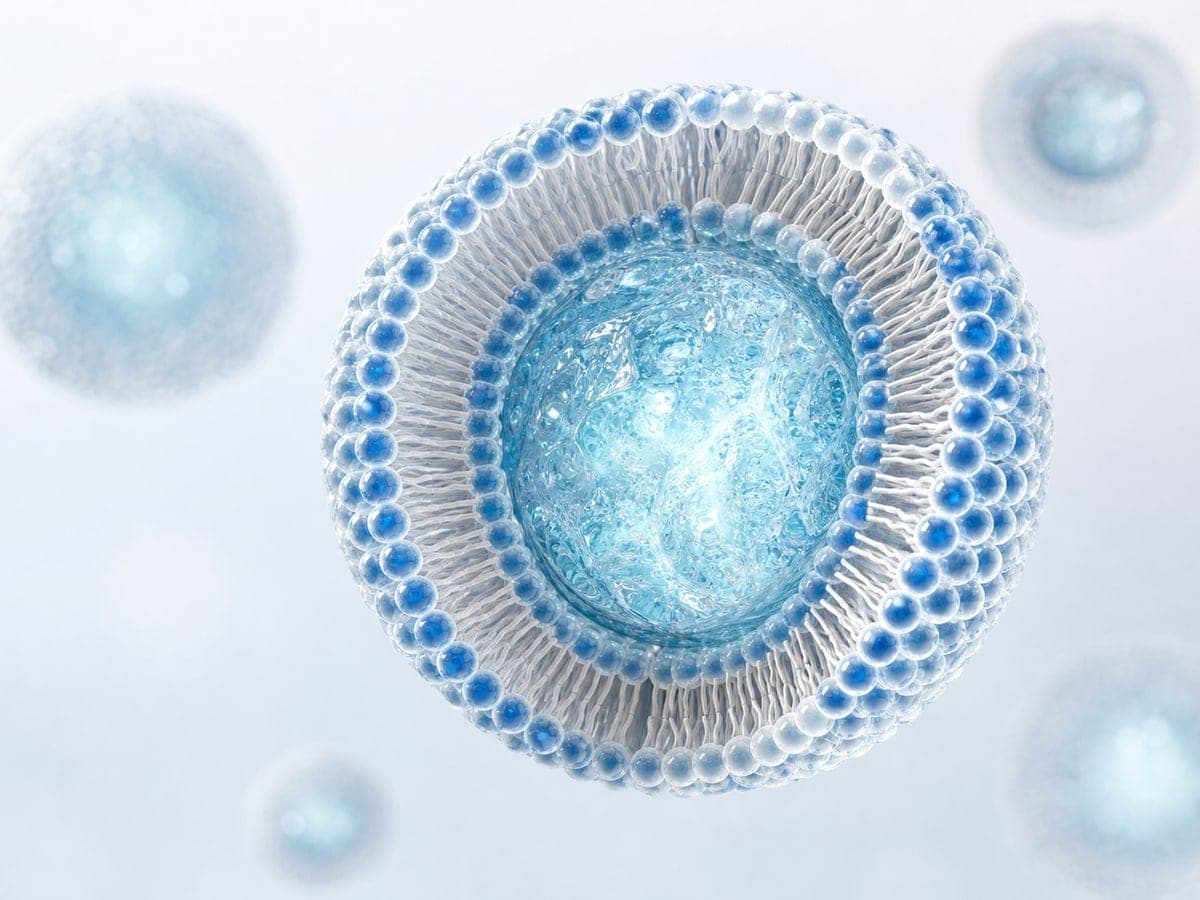 Render 3D de una cápsula liposomal seccionada mostrando la bicapa de fosfolípidos.