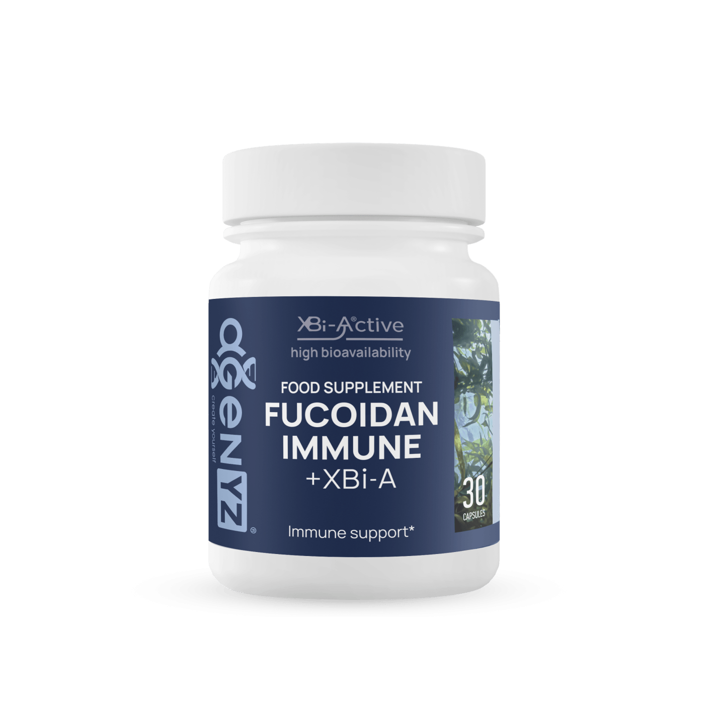Fucoidan inmunitario + XBi-A - imagen 1